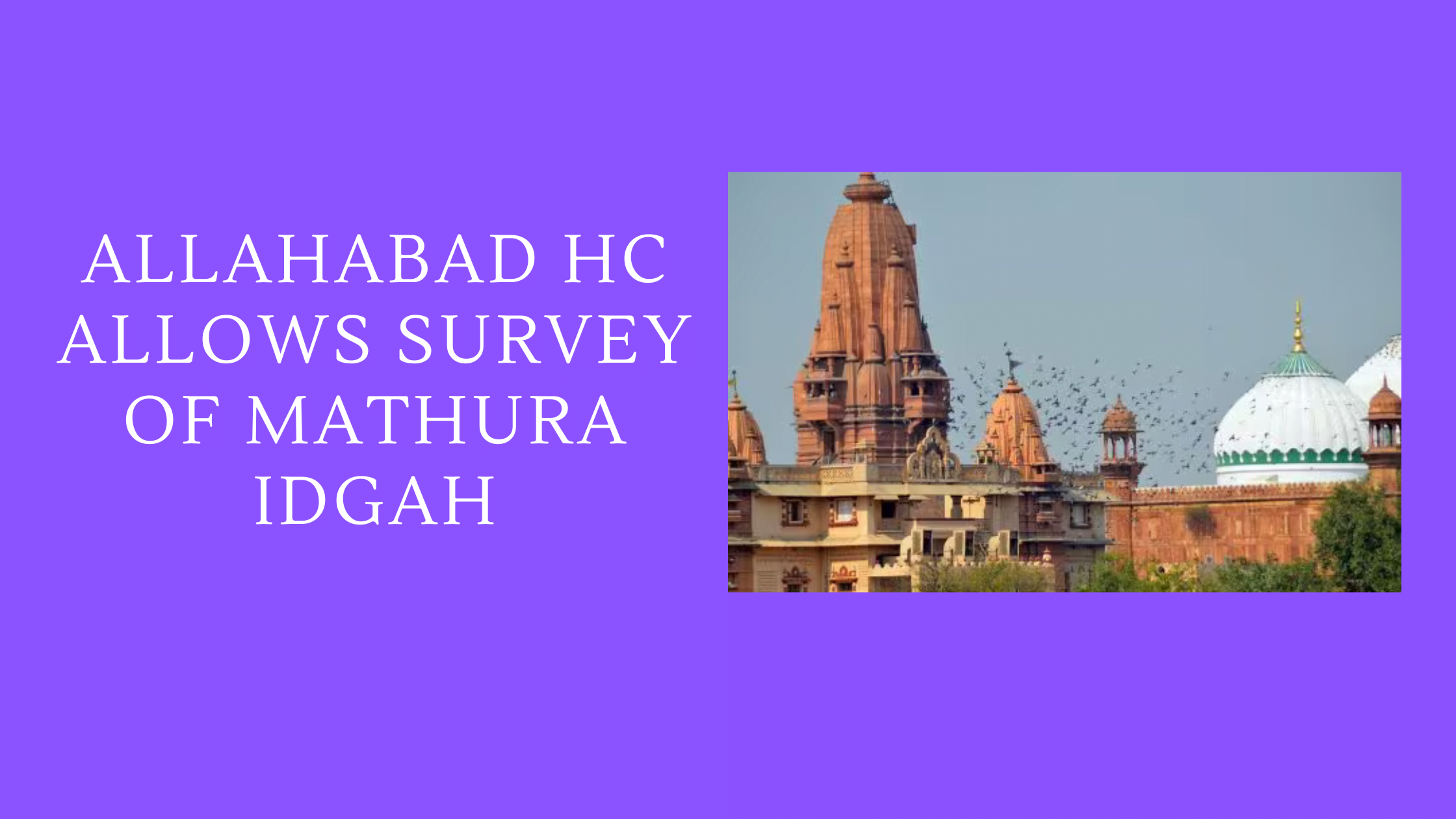 Allahabad High Court Allows Survey of Mathura Idgah