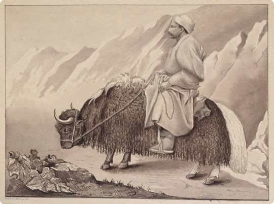 The explorer, spy & Master Ji, Pundit Nain Singh Rawat