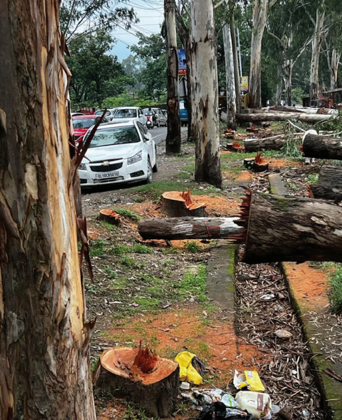 The Environmental Impact of Infrastructure Development in Dehradun: A Case Study